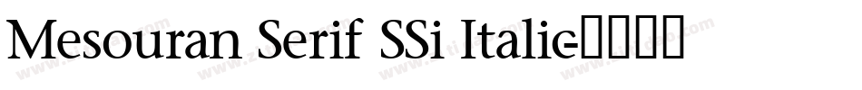Mesouran Serif SSi Italic字体转换
